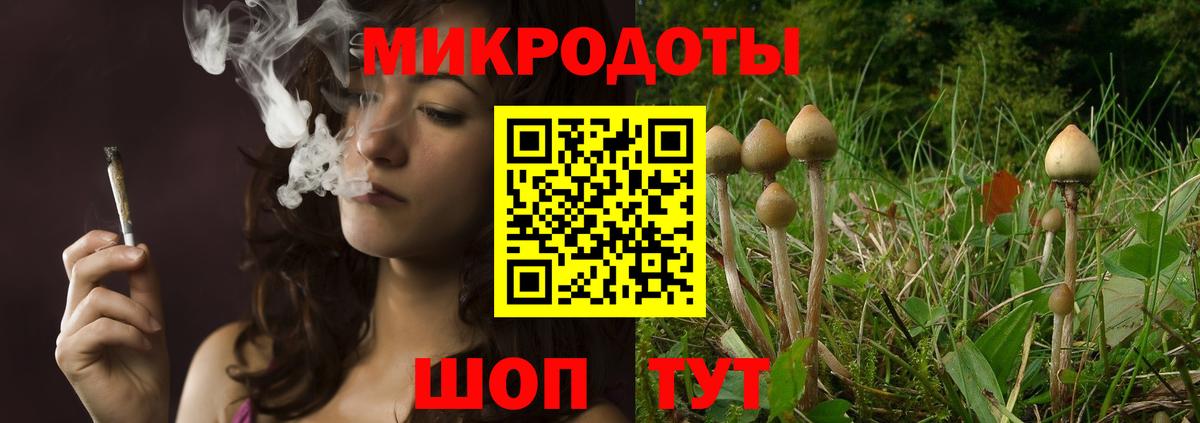 Благовещенск  Псилоцибиновые грибы MAGIC MUSHROOMS  Вход с VPN 